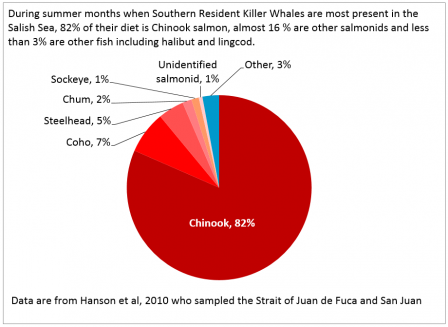 During summer months when Southern Resident Killer Whales are most present in the Salish Sea, 82% of their diet is Chinook salmon, almost 16 % are other salmonids and less than 3% are other fish including halibut and lingcod.