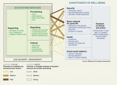 Ecosystem Services and Human Well-Being