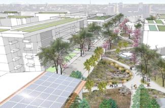 conceptual design showing green infrastructure in a campus corridor