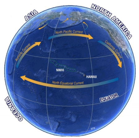 Illustration of northerm Pacific Garbage Gyre showing its clockwise rotation