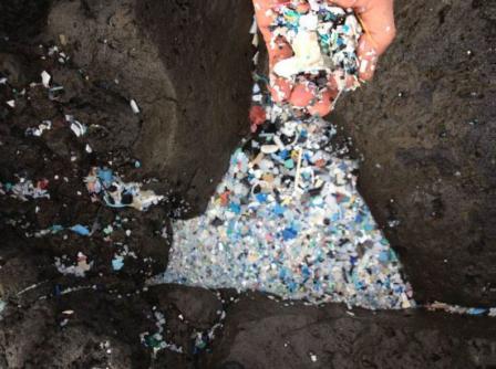Hand holding ulti-colored plastic pieces and other garbage scooped up from between rocks on coast