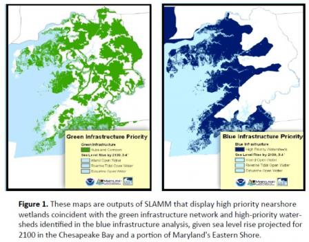 These maps are outputs of SLAMM that display high priority nearshore wetlands coincident with the green infrastructure network and high-priority water-sheds identified in the blue infrastructure analysis, given sea level rise projected for 2100 in the Che