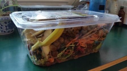 this is a picture of a clear plastic container holding food waste that will be put in a worm composting bin