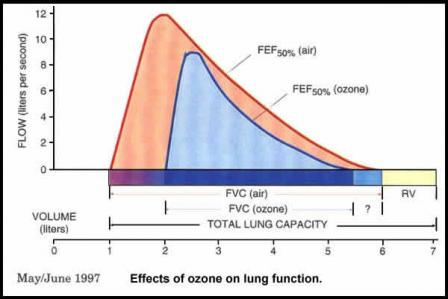 Effects of ozone on lung function