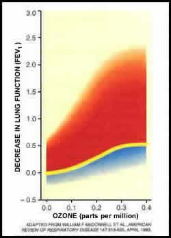 Variability of response to ozone exposure