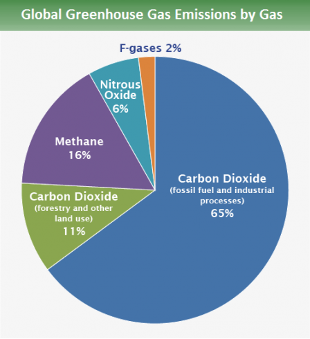 Global GHG emissions by gas: 65% is from carbon dioxide fossil fuel use and industrial processes. 11% is from carbon dioxide deforestation, decay of biomass, etc. 16% is from methane. 6% is from nitrous oxide and 2% is from fluorinated gases.