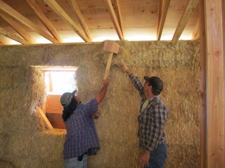Workers in wood framed building interior with straw bale covered wall use a large wooden mallet to force additional hay into the last open space on the wall.