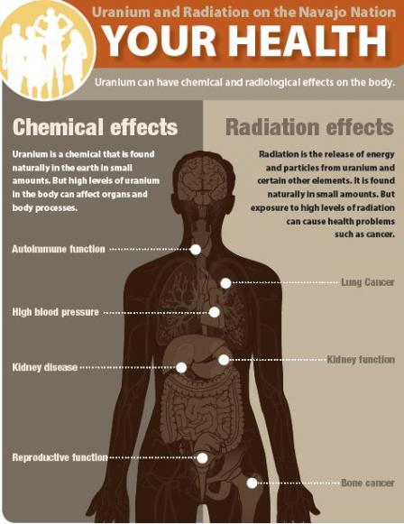 Cover of ‘Your Health: Uranium and Radiation on the Navajo Nation” PDF showing chemical and radiation effects on the body. For the text version of this image and the complete document, click on the link below.