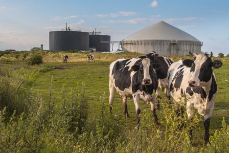 Anaerobic Digesters on a Farm