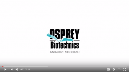 Video still from Osprey Safer Choice video