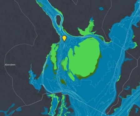 2013 data visualization of Susquehanna Flats submerged aquatic vegetation. 