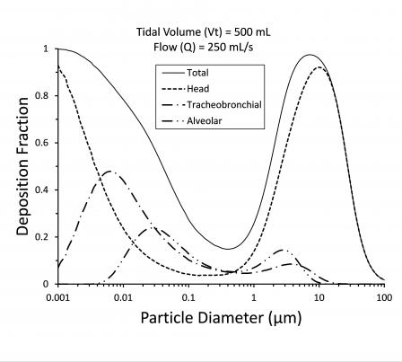 Mathematical model of particle size deposition in the whole lung