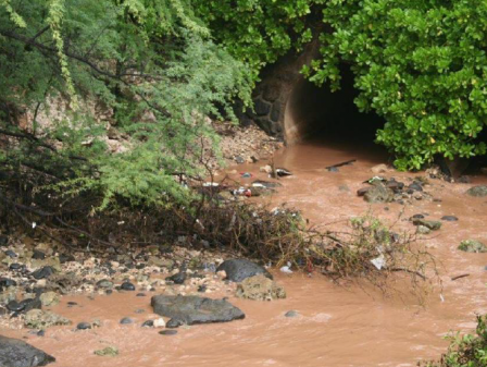 muddy contaminated water with debris