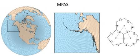 Figure showing the transition between large-scale grid cells and very fine, local grid cells