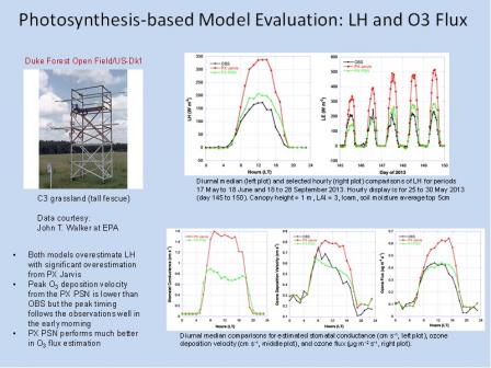 Photosynthesis-based Model Evaluation