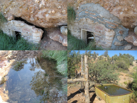 Red Spring Canyon Restoration