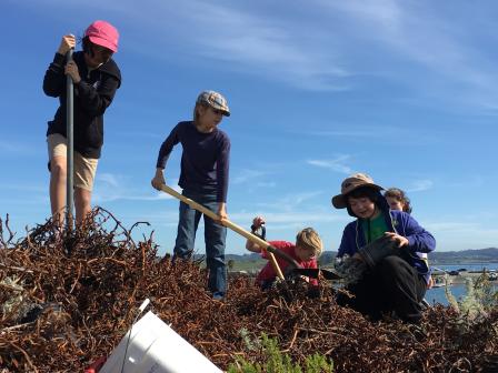 Students and teach working with shovels