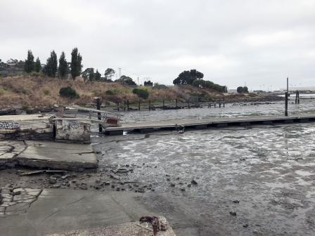 View of shorline with concrete boat launch and docks. Low tide, mud flats only.