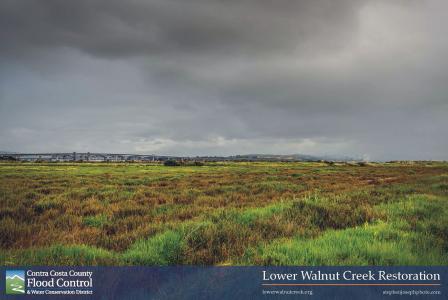 Marshlands looking towards Suisun Bay