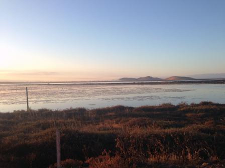 Sunrise over wetlands with San Francisco Bay and hills in the distance