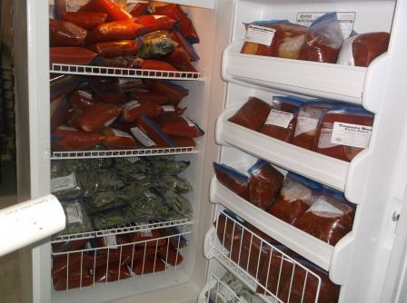 This is a picture of the inside of a freezer with numerous ziploc bags of food stored in it.