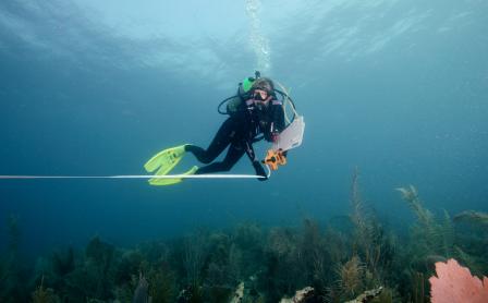 EPA diver taking a variety of measurements on multiple coral reef organisms