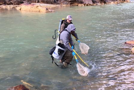 photo of two men with fishnets in a river