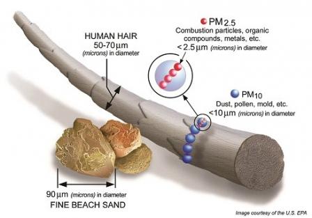 An image of PM 2.5 and PM 10 compared to a human hair and fine beach sand.