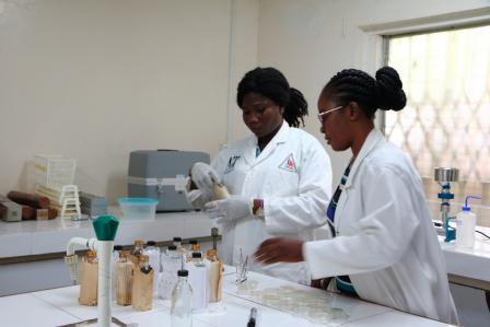 adults working in a laboratory