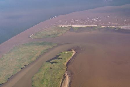 Sediment runoff into the Mississippi River.