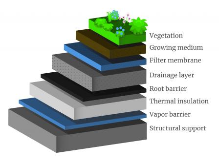 Representative green roof layers: vegetation at the top, then growing medium, filter membrane, drainage layer, root barrier, thermal insulation, vapor barrier, and structural support