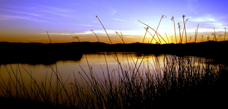 Sunset at Suisun Marsh