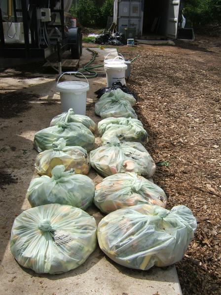 This is a picture of several bags of food waste lined up in a row.