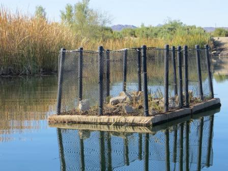 floating island first launched into No Name Lake in November, 2016