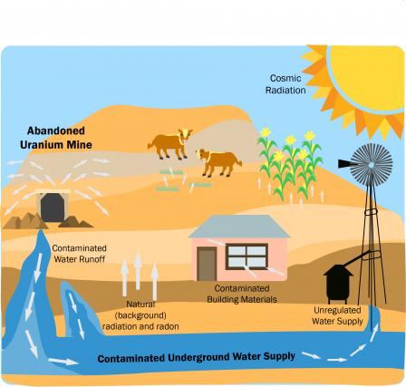This image shows an example radiation exposure web, with the different ways radioactive contaminants can get into water and food supplies.