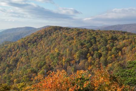 Shenandoah National park 