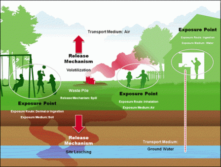 Transport and Exposure Routes