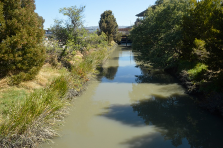 View of Arroyo Viejo Creek
