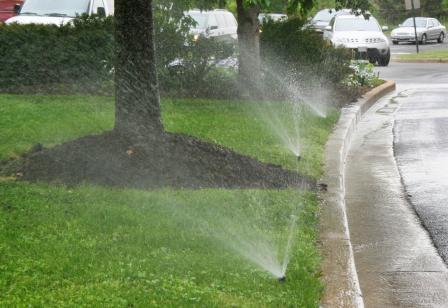 Sprinklers watering pavement.