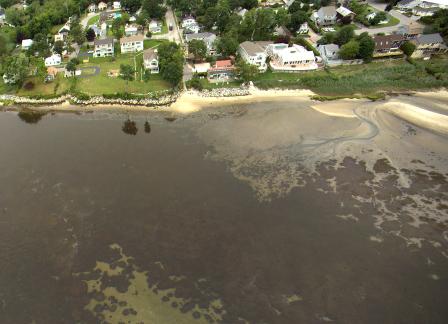 Seagrass habitat photograph taken from a helicopter