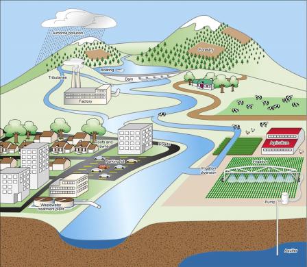 Infographic depicting the common sources of nutrient pollution