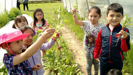 Oxbow Farm and Conservation Center in Carnation, Washington will use a $46,000 EPA environmental education grant to expand the "Garden Buddies" program at Frank Wagner Elementary to foster environmental learning by helping 4th grade students mentor kinder
