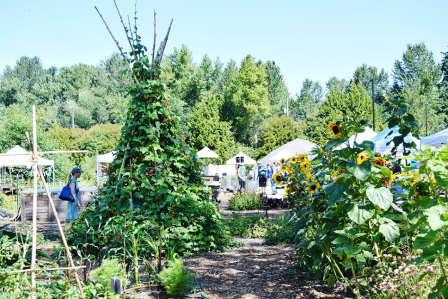 Tilth Alliance in Seattle, Washington will use a $85,000 EPA environmental education grant to support a learning program at Rainier Beach Urban Farm & Wetlands with partners South Shore K-8 School, Rainier Beach HS, Friends of Rainier Beach Urban Farm & W