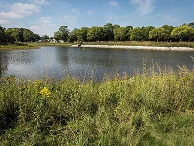 Photo of project played an important role in helping to restore the waters, wildlife, and communities of the Milwaukee Estuary. 