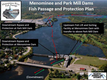 Aerial photo depicting the upstream and downstream passage segments for lake sturgeon.