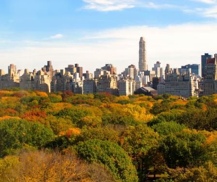 City scape image showing green parkland in foreground  