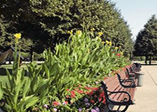 image of a park benches and flowers 