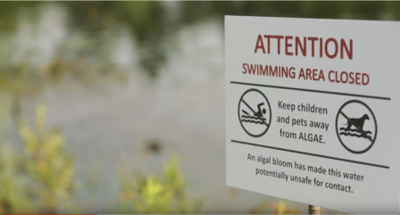 harmful algal bloom warning sign