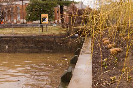 Water pollution from runoff