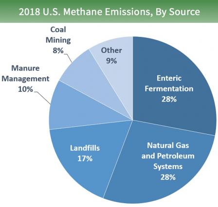 Pie chart that shows different types of gases. 28% from Natural Gas and Petroleum Systems. 28 from Enteric Fermentation. 17% from Landfills. 10% from Manure Management. 8% from Coal Mining. 9% from Other.